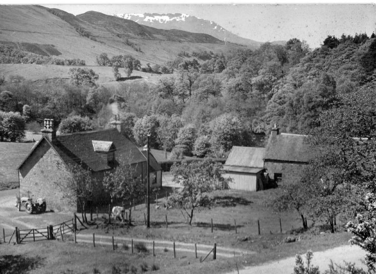 Spring Blossom at Achadhluachrachd in the 1960s
